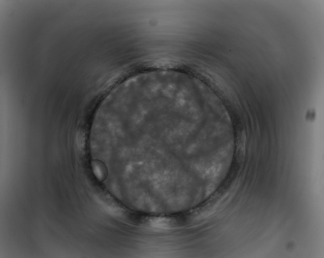 X0000100370268200807031909