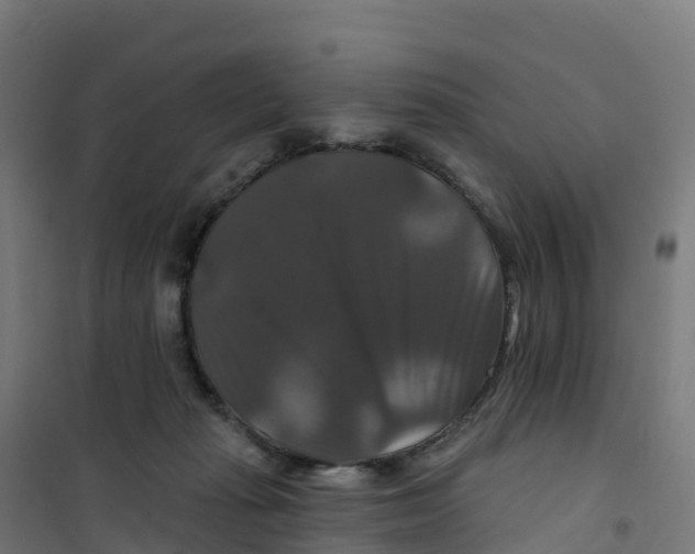 X0000100370269200807031909