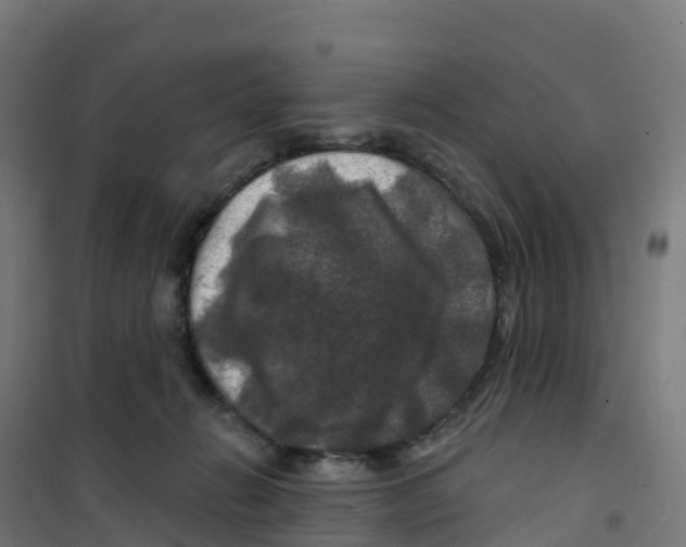 X0000100370270200807031909