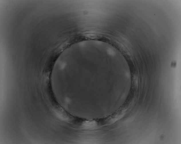 X0000100370271200807031909