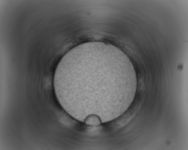 X0000100370274200807031909