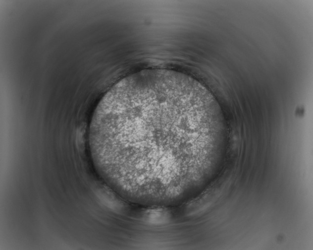 X0000100370275200807031909