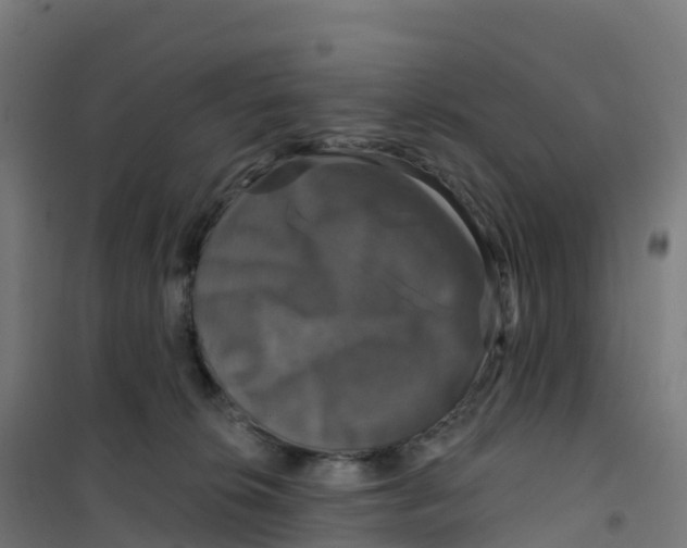 X0000100370276200807031909