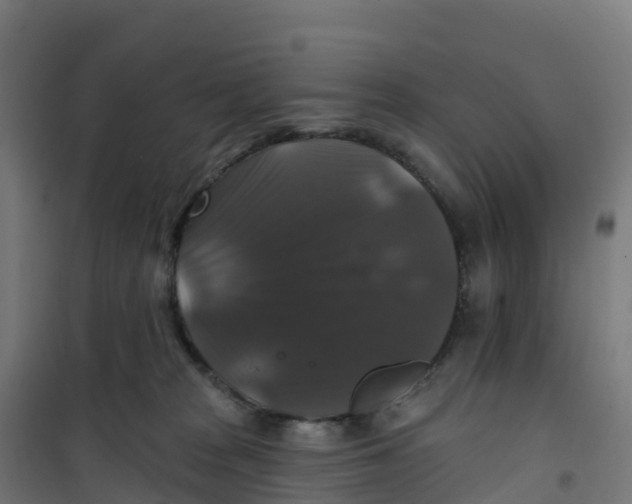 X0000100370277200807031909