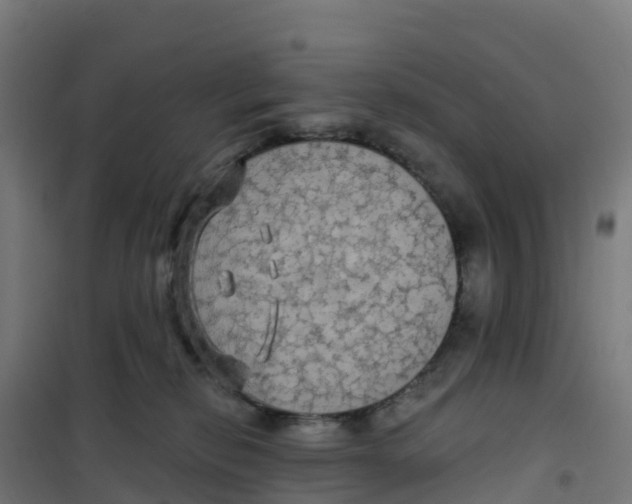 X0000100370278200807031909