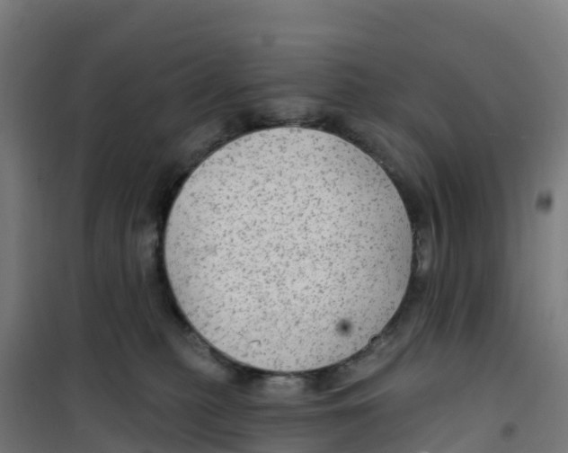 X0000100370279200807031909