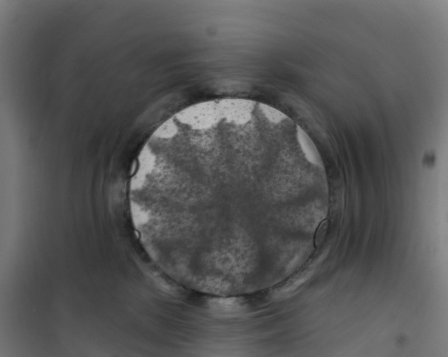 X0000100370281200807031909