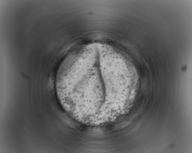 X0000100370282200807031909