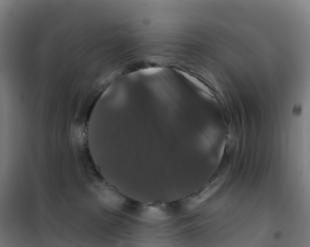 X0000100370285200807031909