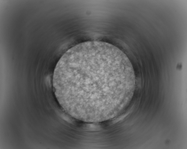 X0000100370286200807031909