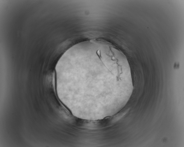 X0000100370288200807031909