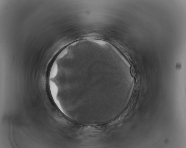 X0000100370290200807031908