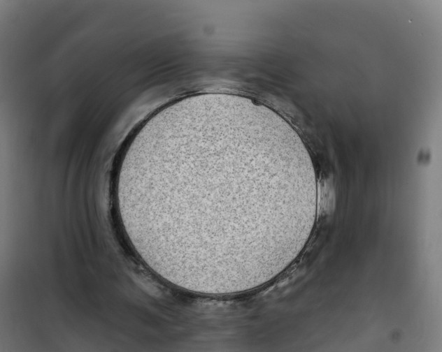 X0000100370291200807031908