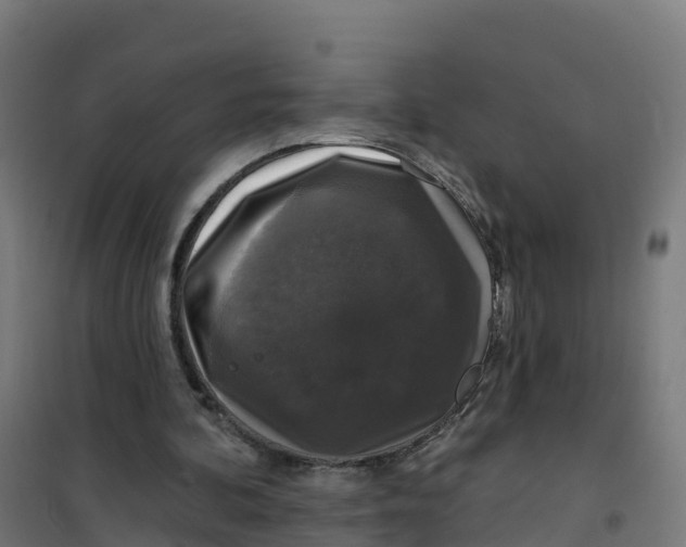 X0000100370292200807031908