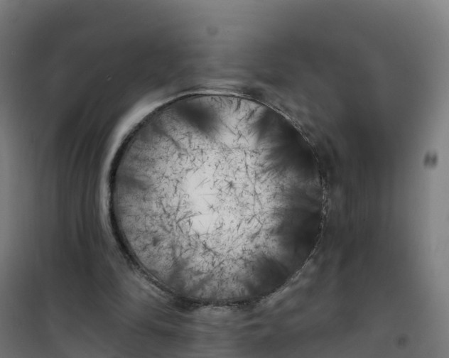 X0000100370294200807031908