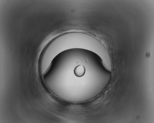 X0000100370296200807031908