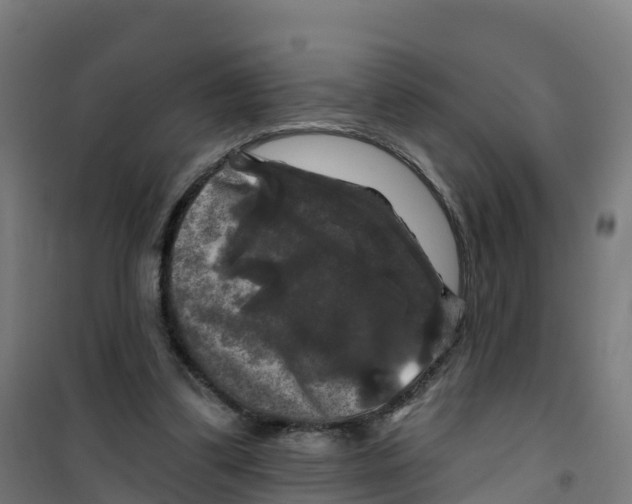 X0000100370299200807031908