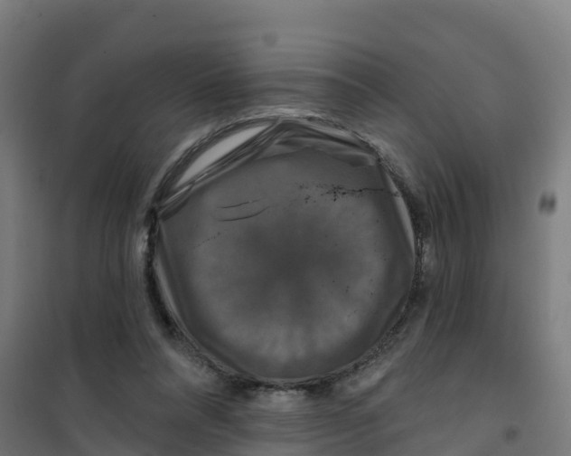 X0000100370304200807031908