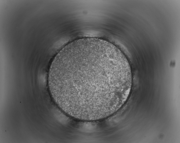 X0000100370305200807031908