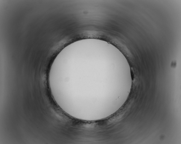 X0000100370306200807031908