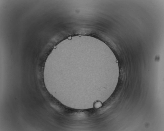 X0000100370307200807031908