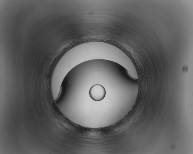 X0000100370308200807031908