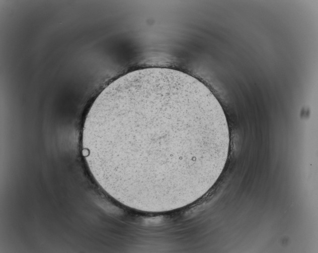 X0000100370309200807031908