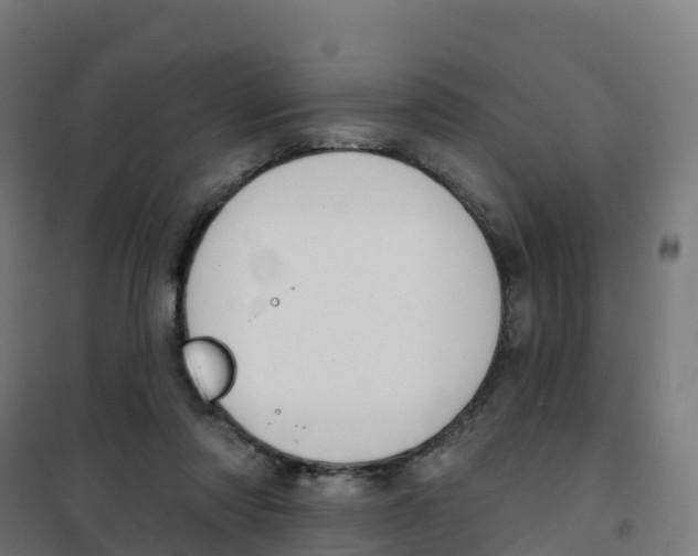 X0000100370310200807031908