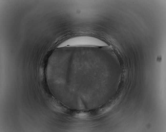 X0000100370312200807031908