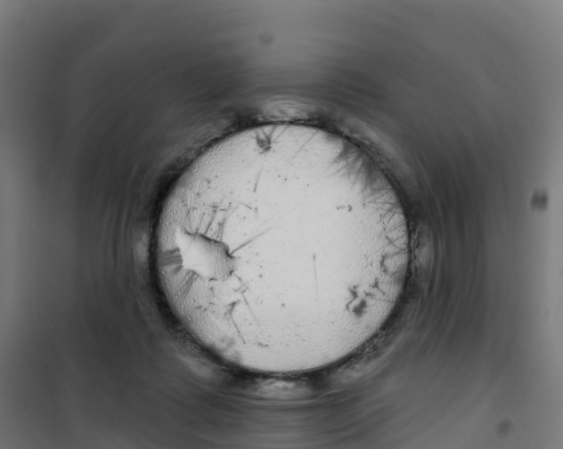 X0000100370315200807031908
