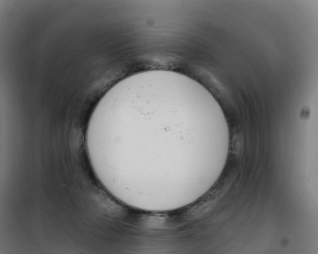 X0000100370318200807031908