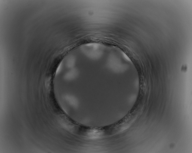 X0000100370319200807031908