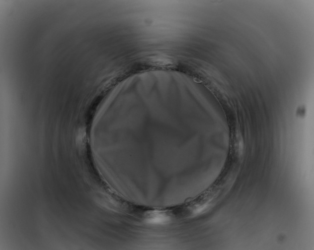 X0000100370320200807031908