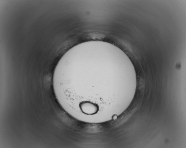 X0000100370321200807031908