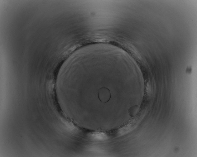 X0000100370322200807031908