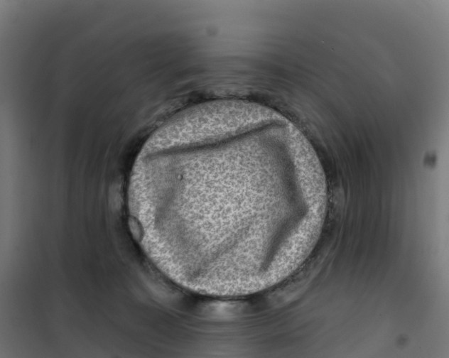 X0000100370323200807031908