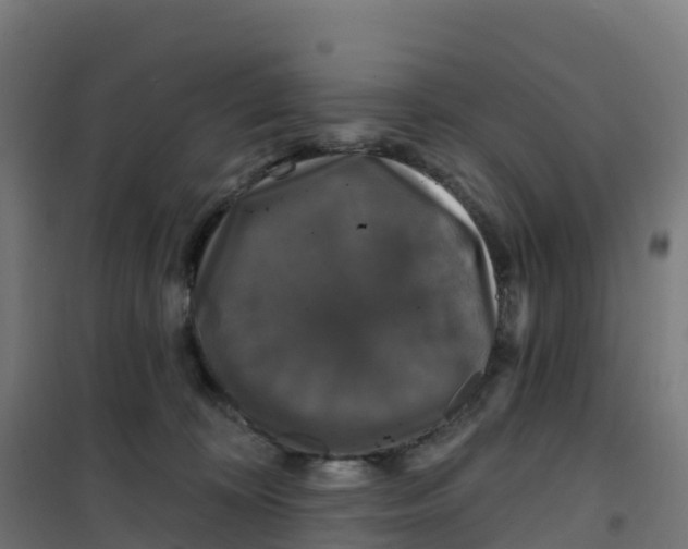 X0000100370324200807031908