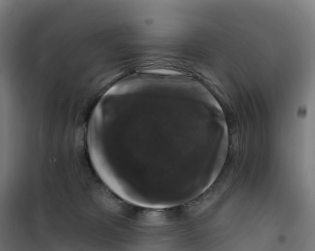 X0000100370325200807031908