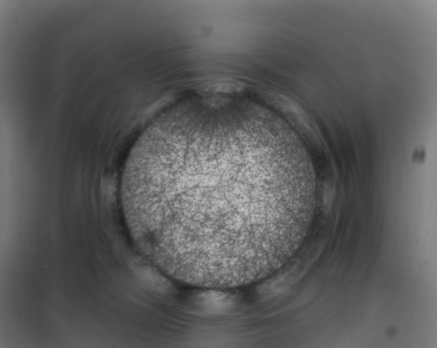 X0000100370326200807031908