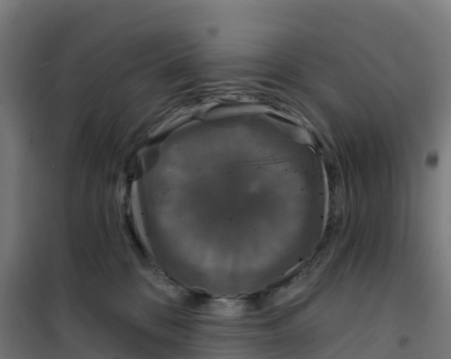 X0000100370328200807031908