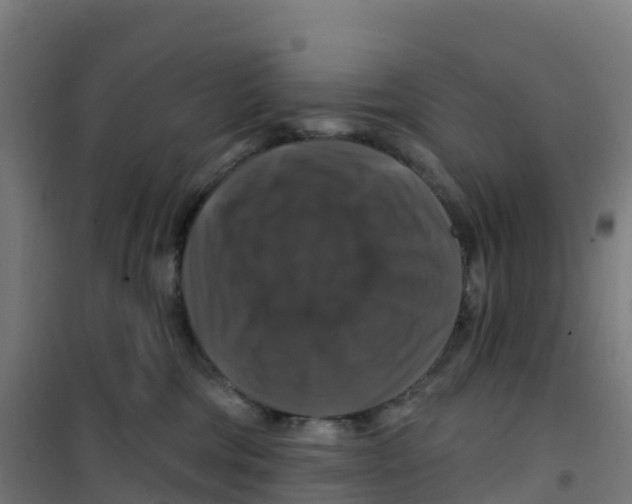 X0000100370330200807031908