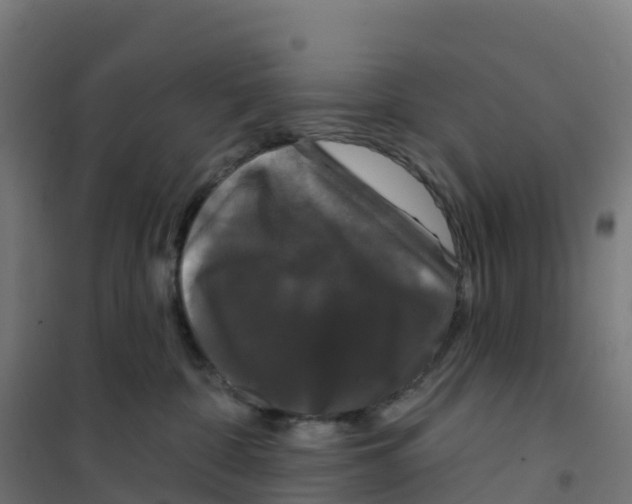 X0000100370332200807031908