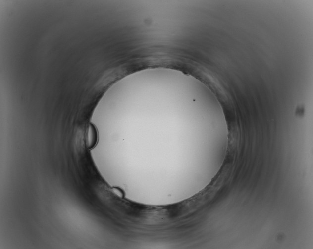 X0000100370333200807031908