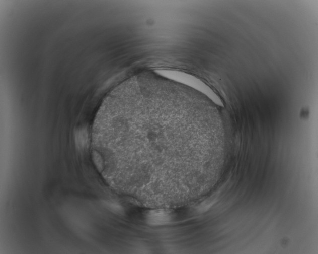 X0000100370335200807031908