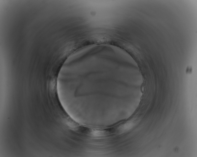 X0000100370336200807031908