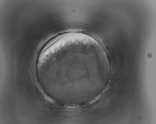 X0000100370337200807031907