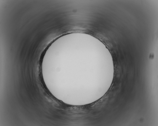 X0000100370338200807031907