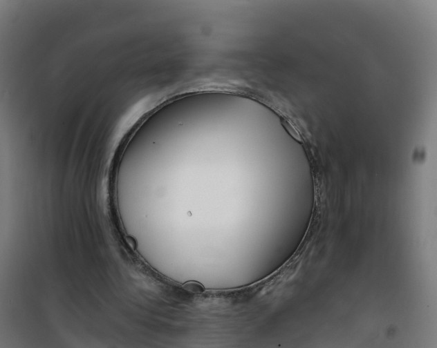 X0000100370340200807031907