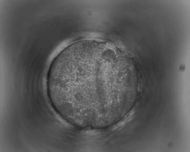 X0000100370341200807031907