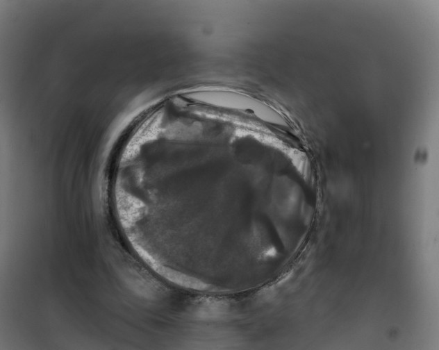 X0000100370343200807031907